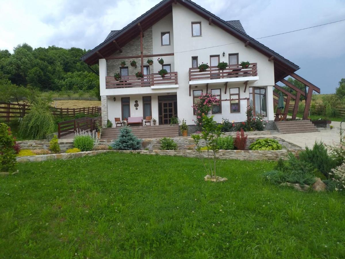Pensiunea Doina Bucovinei Hotel Manastirea Humorului Exterior photo