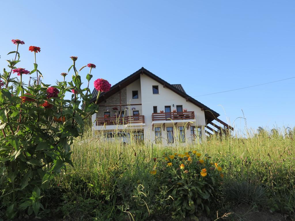 Pensiunea Doina Bucovinei Hotel Manastirea Humorului Exterior photo